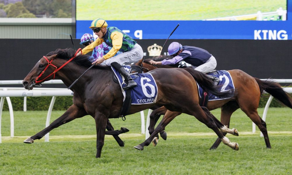 观众的观影 观众的观影